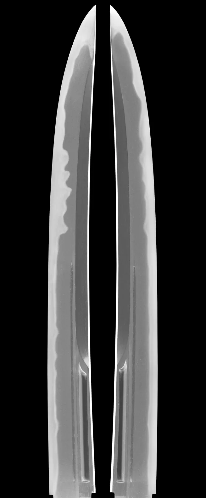 Kawachi no Kami Hironobu Tantō, NBTHK Tokubetsu Hozon, a Japanese katana, close-up of visible hamon and Imperial Kikumon.