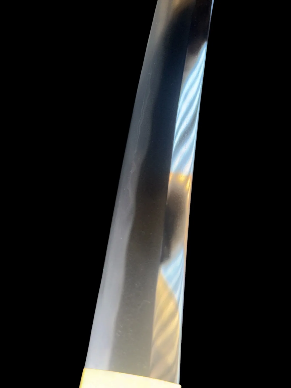 Close-up of the polished blade of a Jūyō Tōken Wakizashi by Shume no Kami Ippei Yasuyo with Tokugawa Aoi Crest