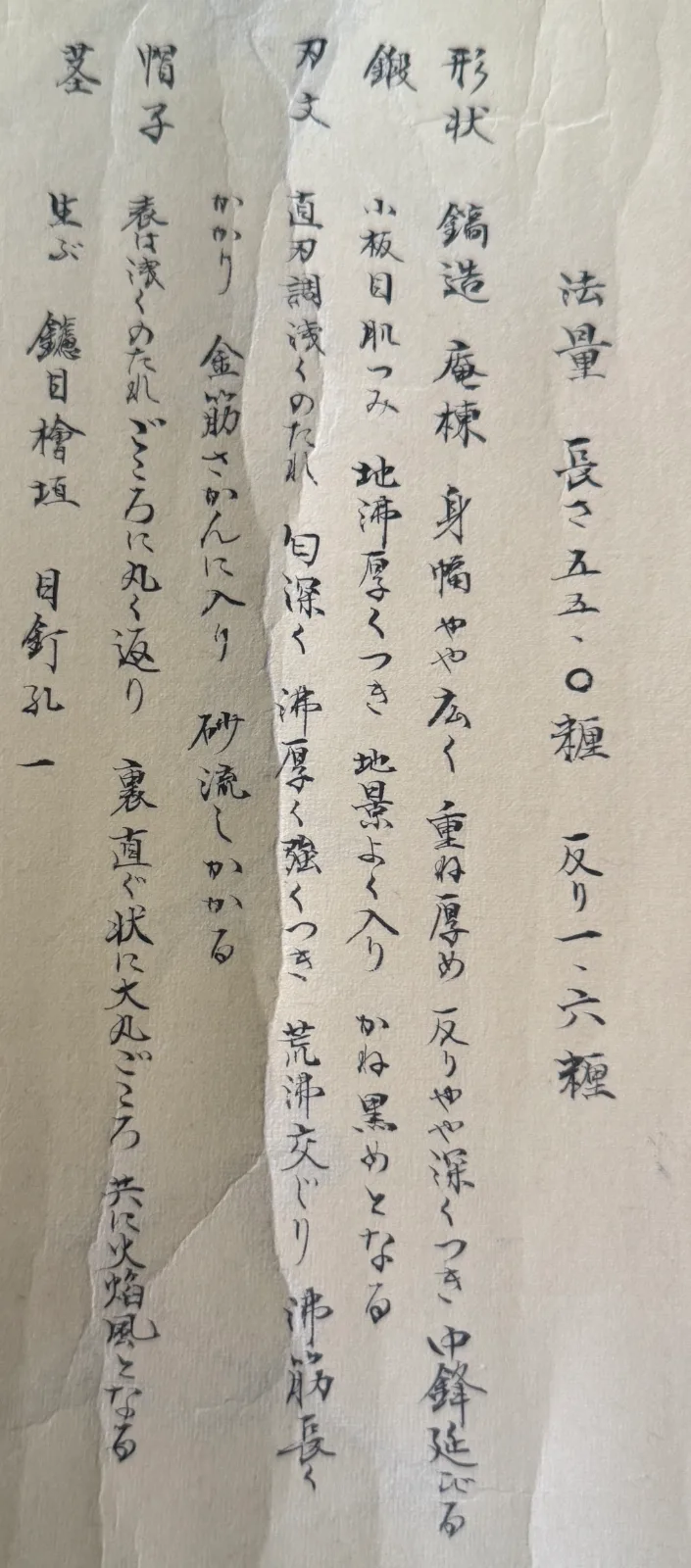 Wakizashi description of Jūyō Tōken by Shume no Kami Ippei Yasuyo from Kyodai Originals with Tokugawa Aoi Crest