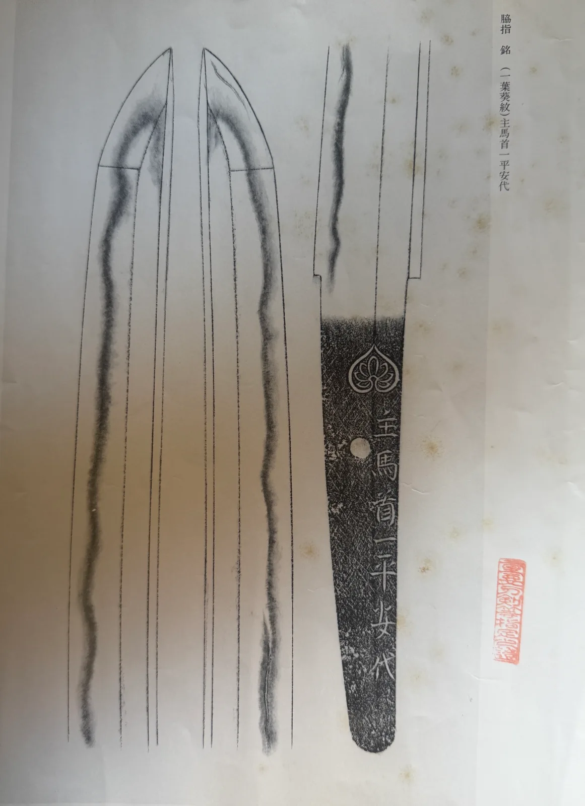 Jūyō Tōken Wakizashi by Shume no Kami Ippei Yasuyo with Tokugawa Aoi Crest, detailed illustration
