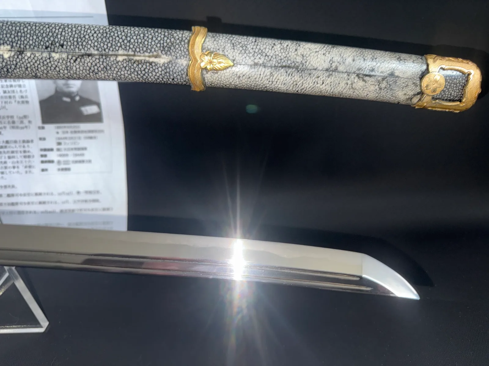 Part of a Naval Commissioned Gendaitō katana by Sadashige Gassan, hilt and shiny blade visible from above